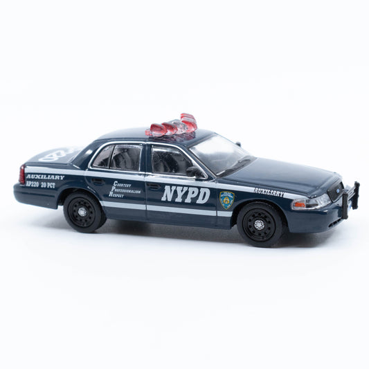 Model of the Month - June 2025